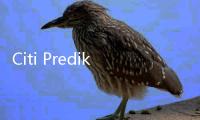 Citi Prediksi Ekonomi RI 2025 Melambat ke 4,7 Persen, Ini Sebabnya!