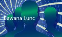 Bawana Luncurkan AI Role