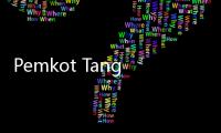 Pemkot Tangerang Bantu Menhub Sosialisasi aturan Angkutan Online